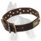 Leather German Shepherd Collar with Brass Plates and Nickel Pyramids