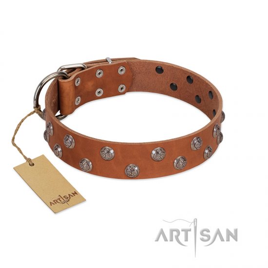 "Waltz of the Flowers" Handmade FDT Artisan Tan Leather German Shepherd Collar with Chrome-plated Engraved Studs