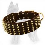 German Shepherd Wide Leather Dog Collar with Brass Spikes in 5 Rows