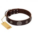 "Flashy Woof" FDT Artisan Brown Leather German Shepherd Collar with Chrome Plated Brooches