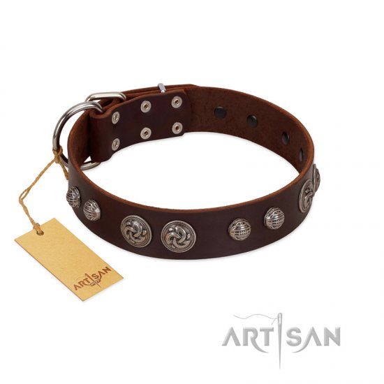 "Choco Brownie" FDT Artisan Brown Leather German Shepherd Collar Adorned with Silver-Like Conchos