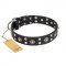 "Refined Essence" FDT Artisan Black Leather German Shepherd Collar with Silvery Studs
