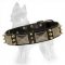 German Shepherd Spiked Leather Dog Collar with Old Nickel Plates