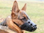 K9 police Everyday German Shepherd Leather dog muzzle