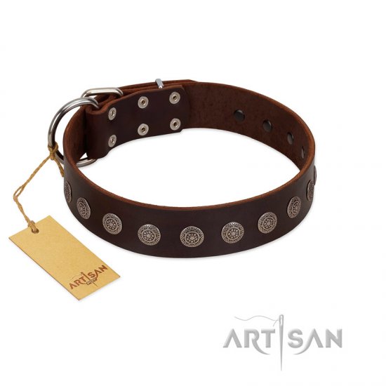 "Starry-Eyed" Best Quality FDT Artisan Brown Designer Leather German Shepherd Collar with Small Plates