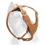 Y-Shape Leather German Shepherd Harness with Brass Spikes