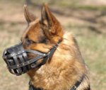 Police Style Leather Light Weight Ventilation dog muzzle - k9