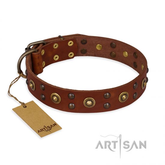 "Unfailing Charm" FDT Artisan Studded Tan Leather German Shepherd Collar