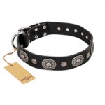 "Black Tie" FDT Artisan Leather German Shepherd Collar with Old Silver-like Decorations