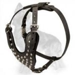 German Shepherd Studded Leather Dog Harness With Pyramids