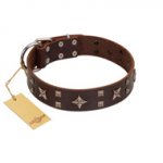 "Stars in Sands" Modern FDT Artisan Brown Leather German Shepherd Collar with Studs and Stars