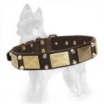 German Shepherd Studded Leather Dog Collar with Old Brass Plates