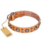 "Extra Sparkle" FDT Artisan Handcrafted Tan Leather German Shepherd Collar
