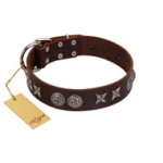 "Silver Sunset" Designer Handmade FDT Artisan Brown Leather German Shepherd Collar