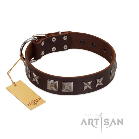 "Needle Stories" Modern FDT Artisan Brown Leather German Shepherd Collar with Square Engraved Plates and Four-Point Stars