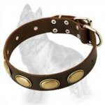German Shepherd Leather Dog Collar with Vintage Oval Brass Plates