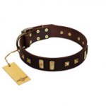 "Choco Delight" FDT Artisan Brown Leather German Shepherd Collar with Old Bronze-like Plates and Studs