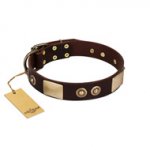 "Sense of Freedom" FDT Artisan Brown Leather German Shepherd Collar with Old Bronze-Plated Studs and Plates
