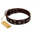 "Bigwig Woof" FDT Artisan Brown Leather German Shepherd Collar with Chrome Plated Stars and Square Studs