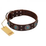 "Hypnotic Stones" FDT Artisan Brown Leather German Shepherd Collar with Chrome Plated Brooches and Square Studs