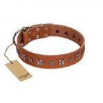 "Star Shine" Exclusive FDT Artisan Tan Leather German Shepherd Collar with Silver-Like Adornments