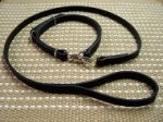 Police / Hunting Dog Leash And Collar (Combo)