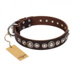 "Step and Sparkle" FDT Artisan Glamorous Studded Brown Leather German Shepherd Collar
