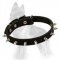 German Shepherd Leather Collar with Nickel Plated Spikes