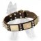 Leather Dog Collar with Old Brass Plates and Nickel Spikes