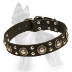 Leather German Shepherd Collar with Nickel Plated Studs and Circles