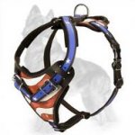 American Pride Painted Leather German Shepherd Harness