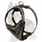 Barbed Wire Painted Leather German Shepherd Harness