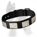 German Shepherd Nylon Dog Collar with Silver Plates