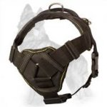 Multifunctional Nylon Dog Harness with Chest Plate