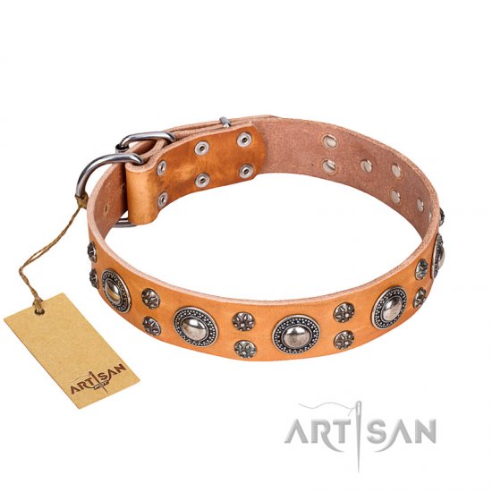 "Extra Sparkle" FDT Artisan Handcrafted Tan Leather German Shepherd Collar
