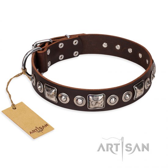 "Pierian spring" FDT Artisan Brown Leather German Shepherd Collar with Silvery Decorations