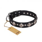 "Silver Charm" FDT Artisan Leather German Shepherd Collar with Silvery-Plated Large Square Studs