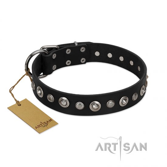 "Genteel Charm" FDT Artisan Black Leather German Shepherd Collar with Silver-like Round Conchos
