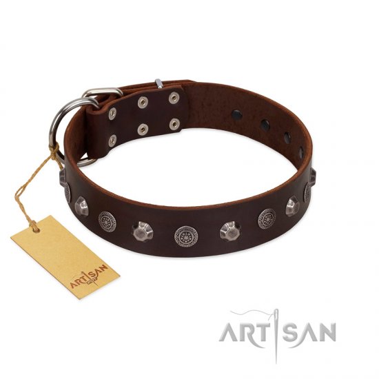 "Dark Chocolate" Handmade FDT Artisan Brown Leather German Shepherd Collar with Studs
