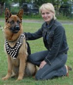 Spiked Dog Harness for German Shepherd - Custom GSD Dog Harness
