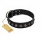 "Black Knight" Handmade FDT Artisan Black Leather German Shepherd Collar with Silver-Like Studs