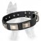 German Shepherd Buckled Leather Dog Collar with Carved Massive Nickel Plates