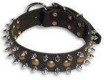 Studde Black collar 25'' for Alsatian Dog/25,inch dog collar-S55