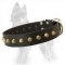 German Shepherd Leather Dog Collar with Brass Pyramids