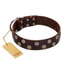 "Shadow Warrior" FDT Artisan Mystic Brown Leather German Shepherd Collar with Runes