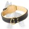 Royal Nappa Padded Hand Made Leather Collar for German Shepherd