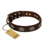 "Chocolate kiss" FDT Artisan Leather German Shepherd Collar with Old Bronze Look Oval Plates