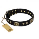 "High Fashion" FDT Artisan Studded with Plates Black Leather German Shepherd Collar