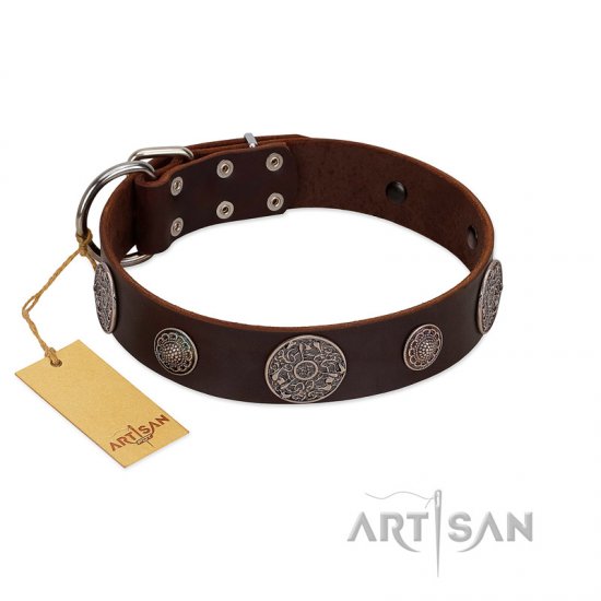 "Flashy Woof" FDT Artisan Brown Leather German Shepherd Collar with Chrome Plated Brooches