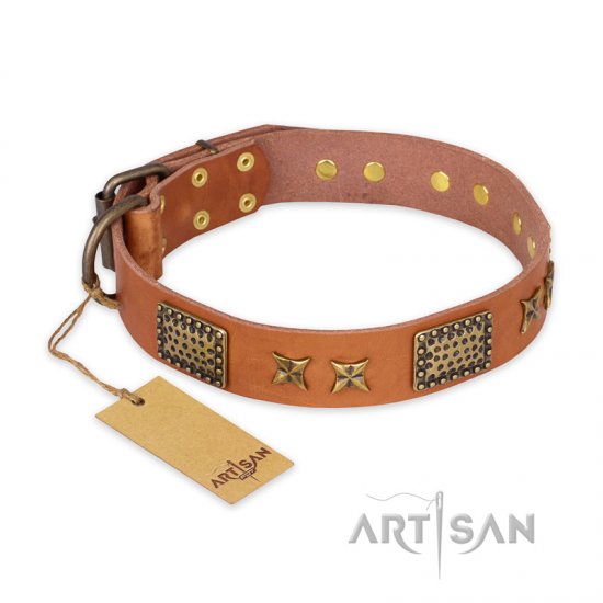 "Cosmic Traveller" FDT Artisan Adorned Leather German Shepherd Collar with Old Bronze-Plated Stars and Plates